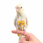 Bird Flight Diaper With Leash