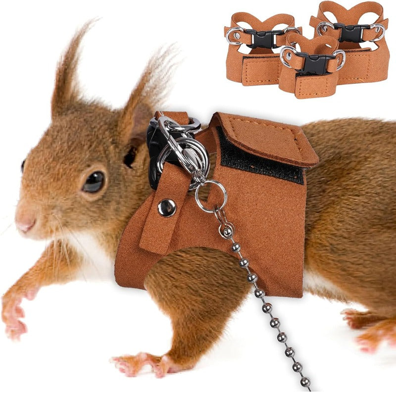 Small Pet Harness & Leash for Ferrets
