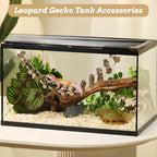 Reptile Wooden Climbing Ladder