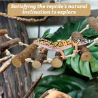 Reptile Wooden Climbing Ladder