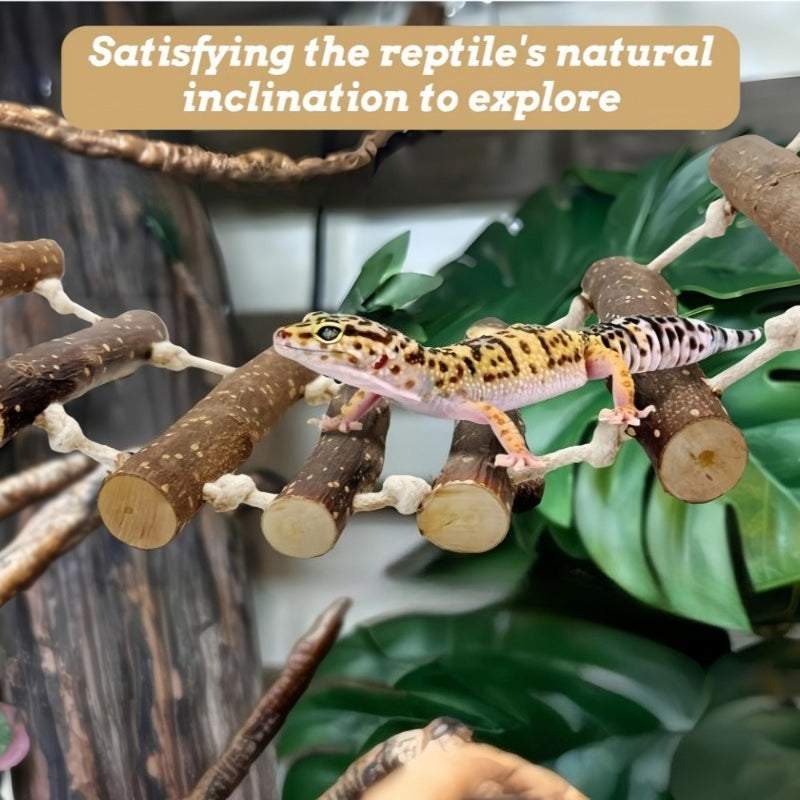 Reptile Wooden Climbing Ladder