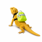 Lizard Skateboard & Backpack 3-Piece Set