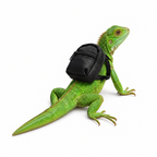 Lizard Skateboard & Backpack 3-Piece Set