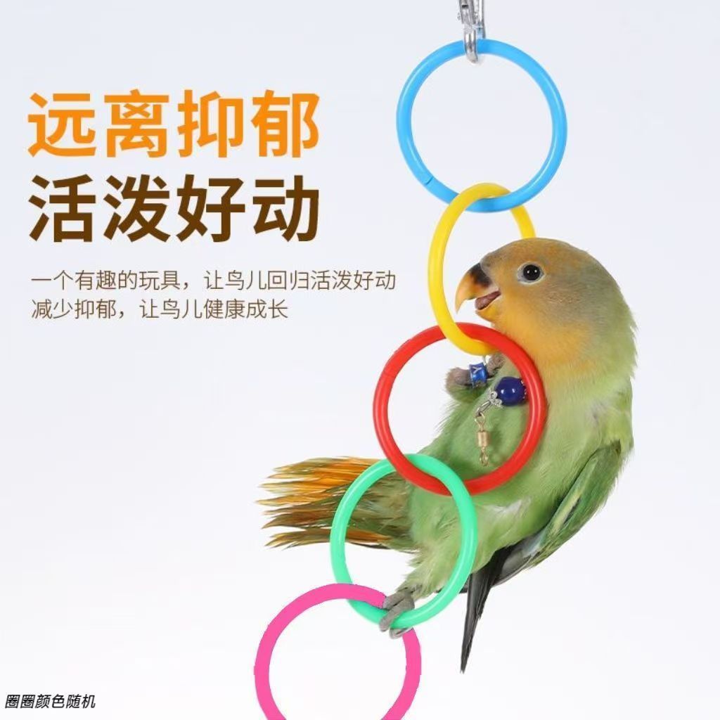 鹦鹉吊环攀爬解闷玩具啃咬玩耍攀爬牡丹玄凤鹦鹉用玩具