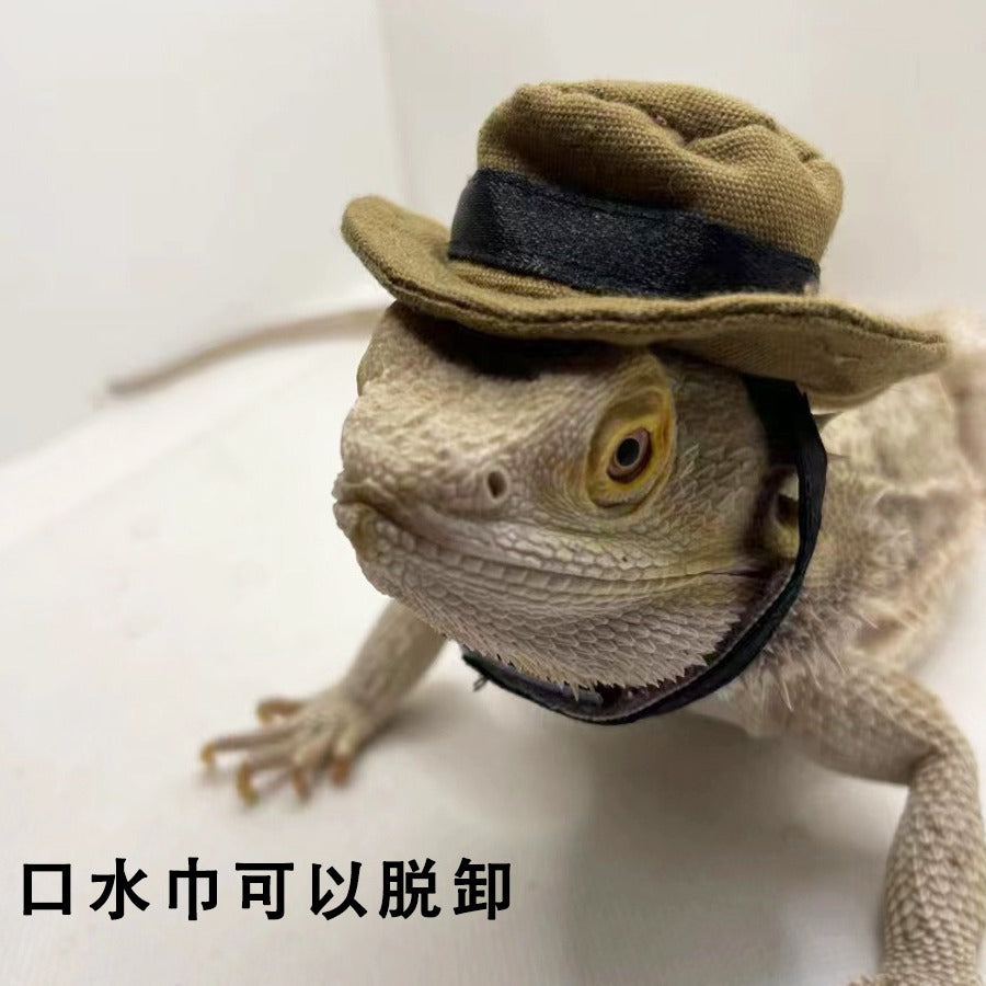 蜥蜴 仓鼠  帽子口水巾 爬宠外出变身装 遛蜥蜴