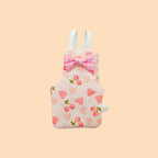 Bird Flight Diaper With Leash
