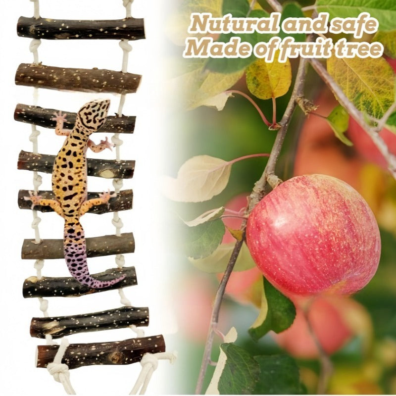 Reptile Wooden Climbing Ladder