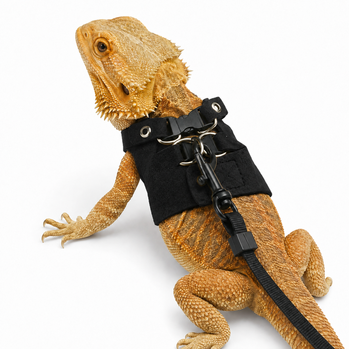 Adjustable Reptile Leash Harness for Lizards