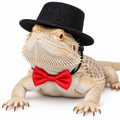 Lizard Top Hat And Bow Tie Set