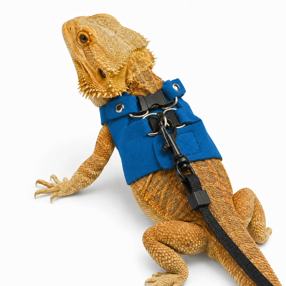 Adjustable Reptile Leash Harness for Lizards