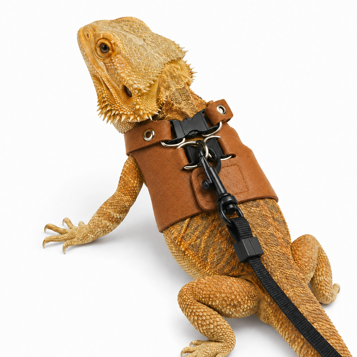 Adjustable Reptile Leash Harness for Lizards