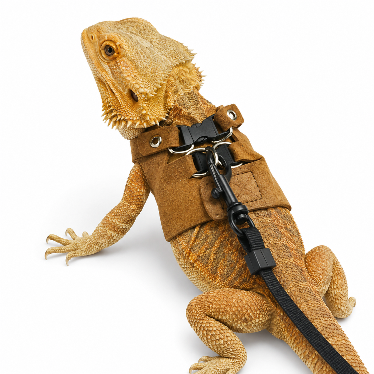 Adjustable Reptile Leash Harness for Lizards