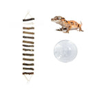 Reptile Wooden Climbing Ladder