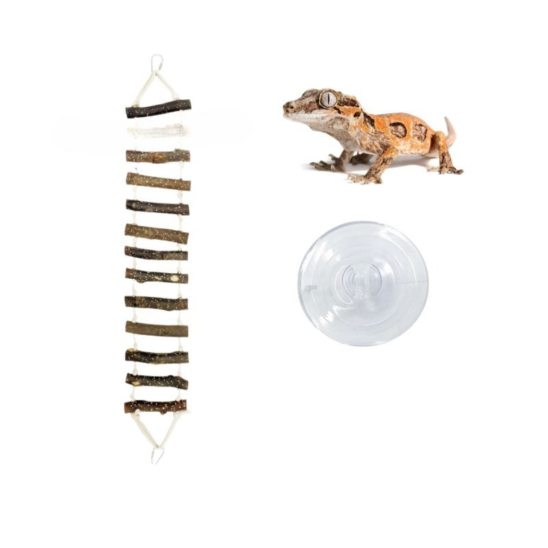 Reptile Wooden Climbing Ladder