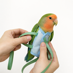 djustable Bird Travel Carrier Bag