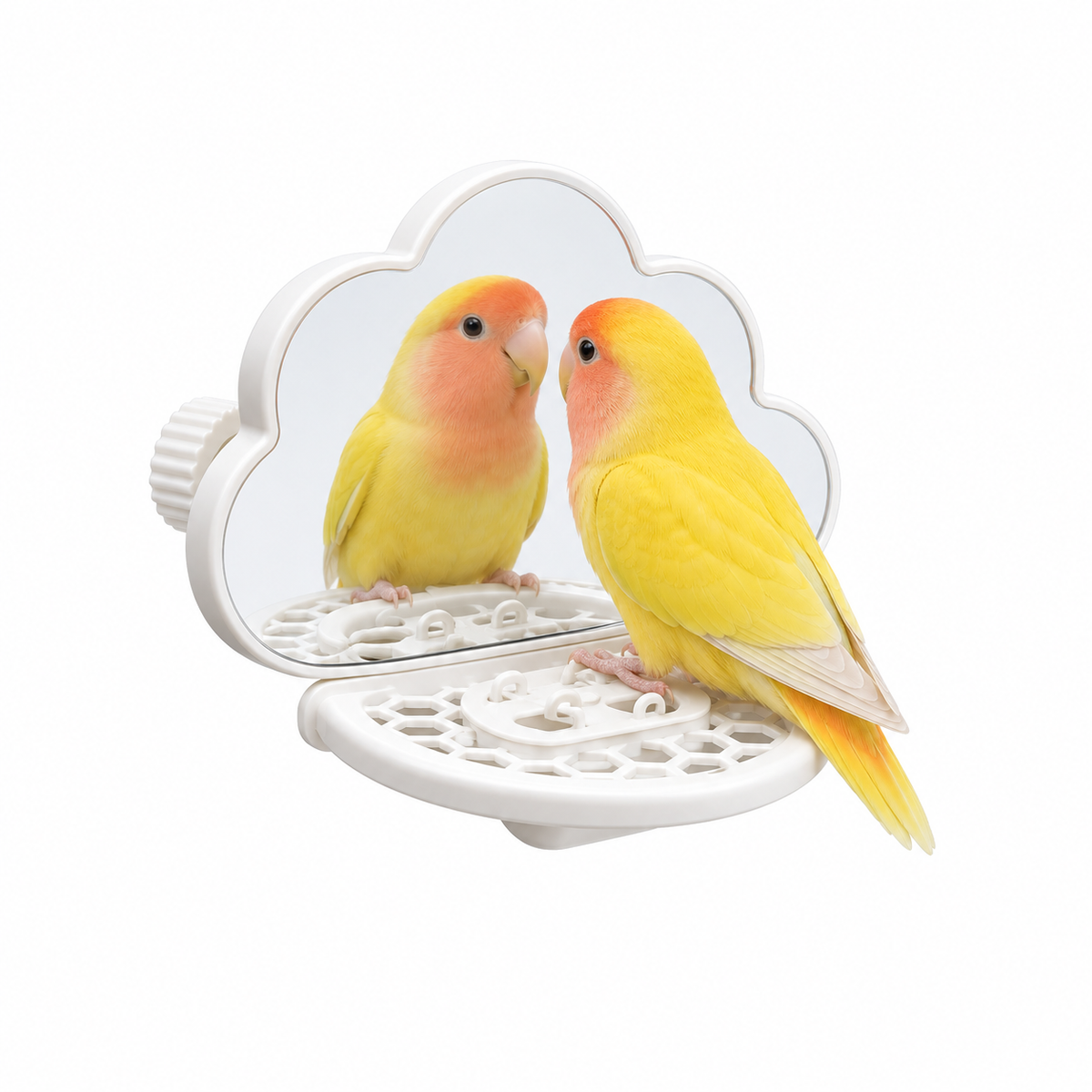 Cloud Mirror Perch for Pet Birds