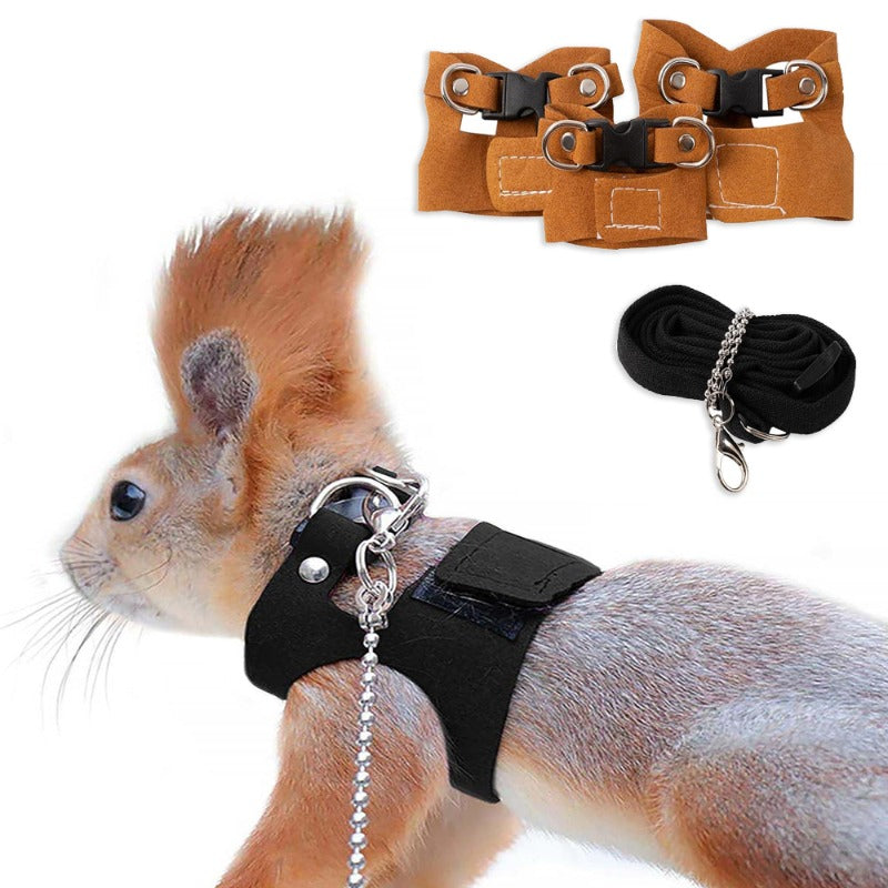 Small Pet Harness & Leash for Ferrets