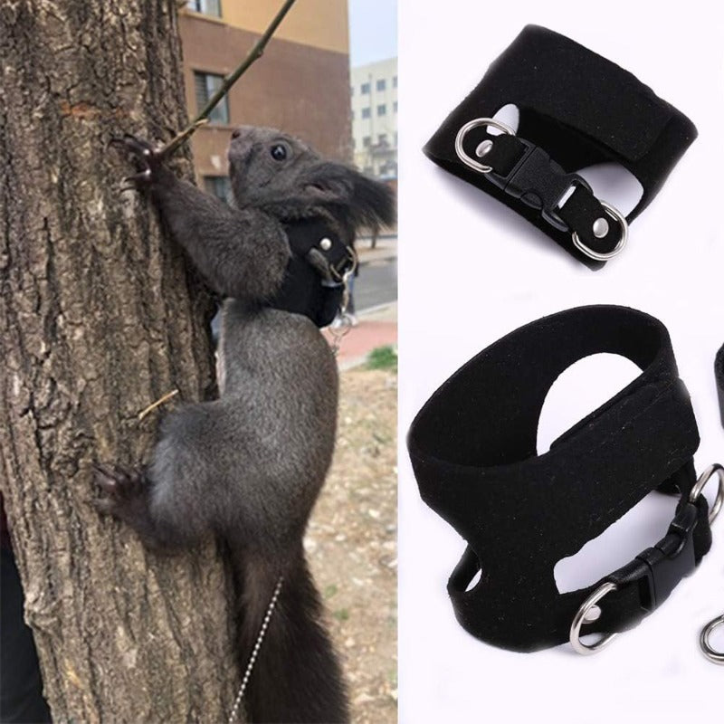 Small Pet Harness & Leash for Ferrets