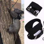 Small Pet Harness & Leash for Ferrets