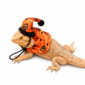 Lizard Halloween Hat and Cape Set