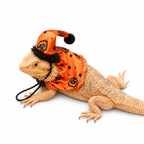 Lizard Halloween Hat and Cape Set
