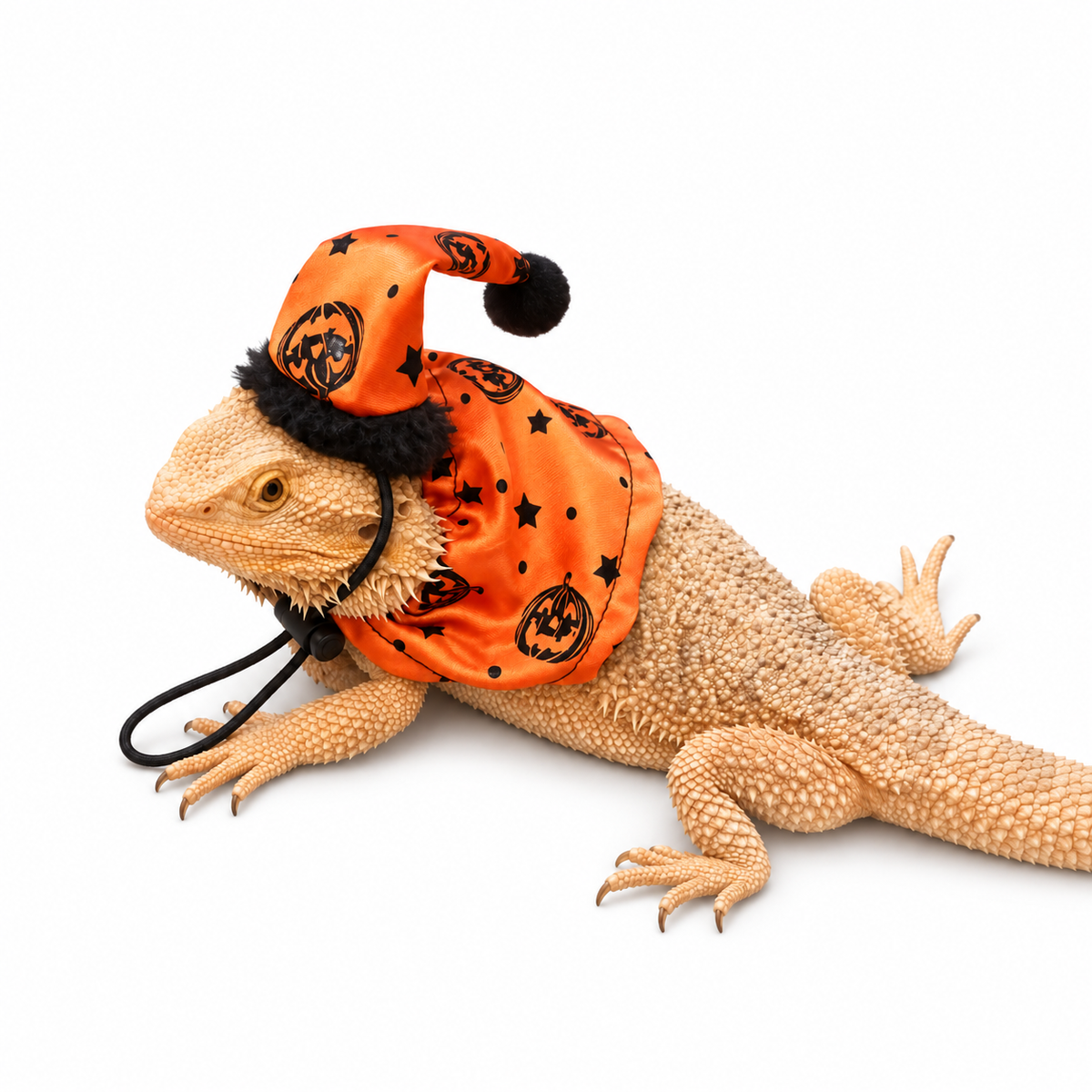 Lizard Halloween Hat and Cape Set