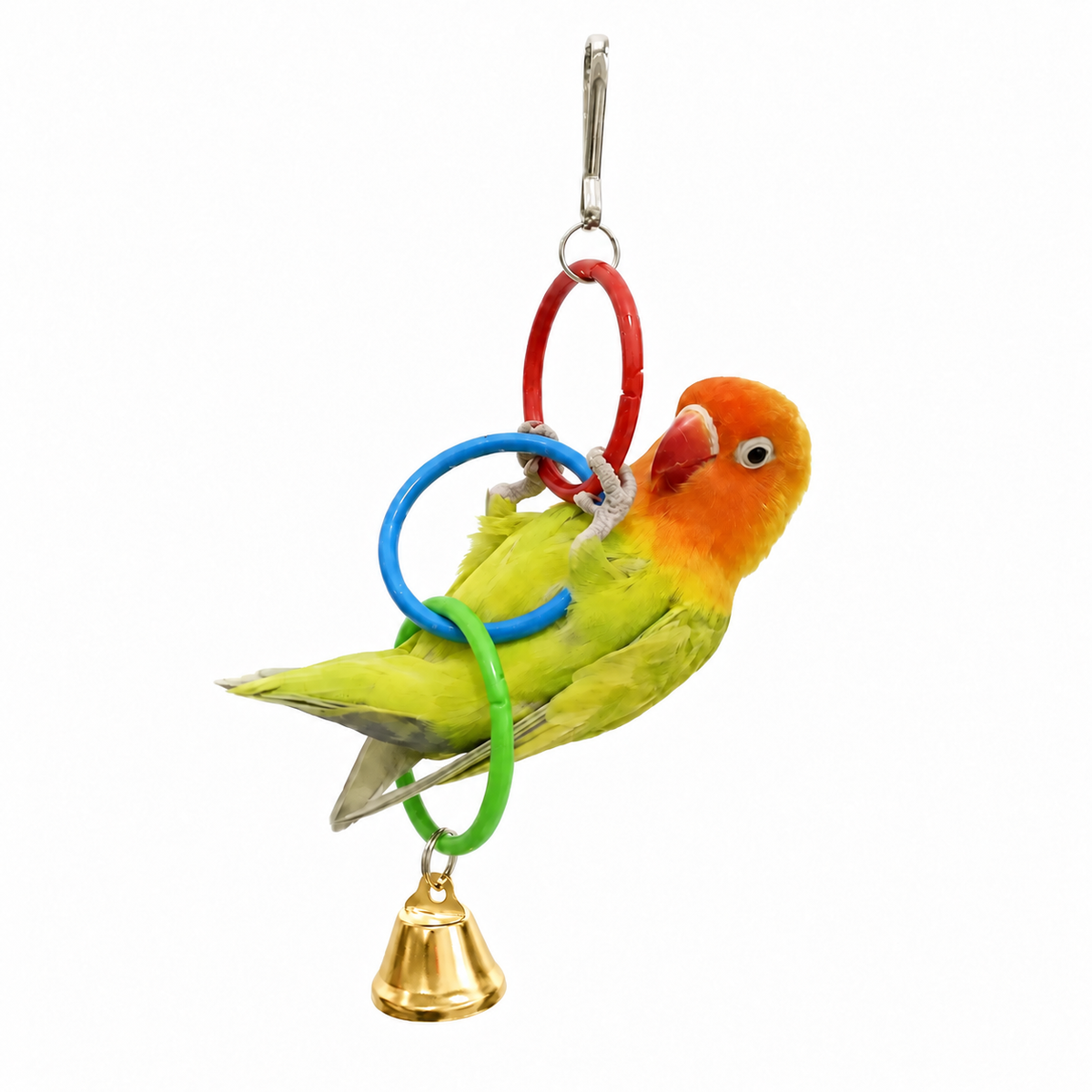 Hanging Ring Climbing Toy for Birds
