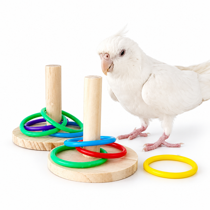 Ring Toss Toy for Pet Birds