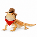 Adjustable Reptile Hat & Bandana Set