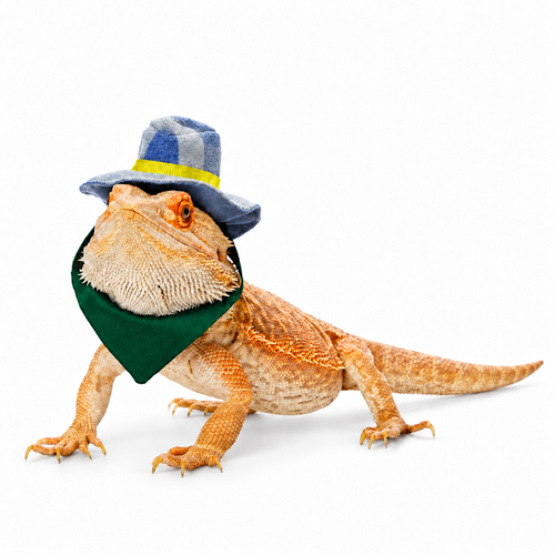 Adjustable Reptile Hat & Bandana Set