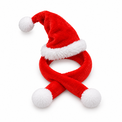 Christmas Hat and Scarf for Lizards