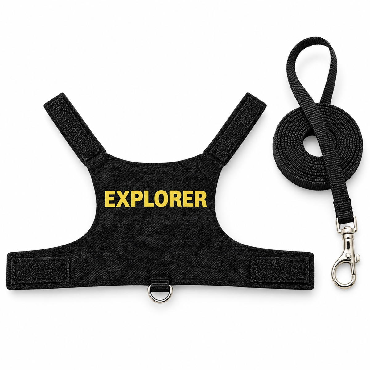 Canvas Lizard Harness Leash Set