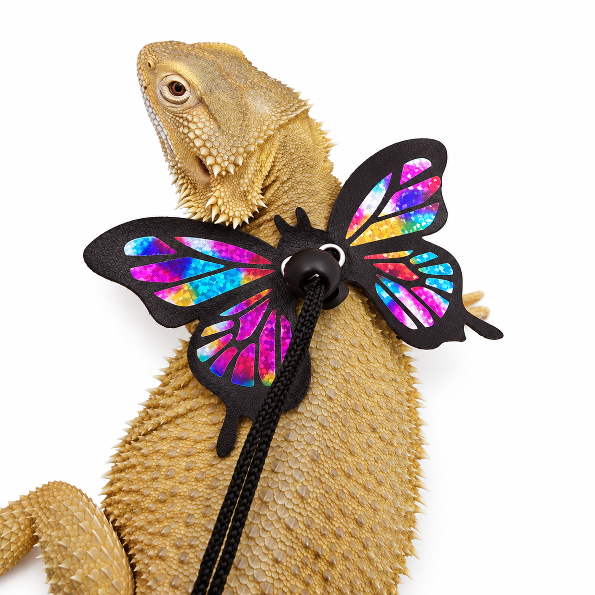 Lizard Leash With Butterfly Wings