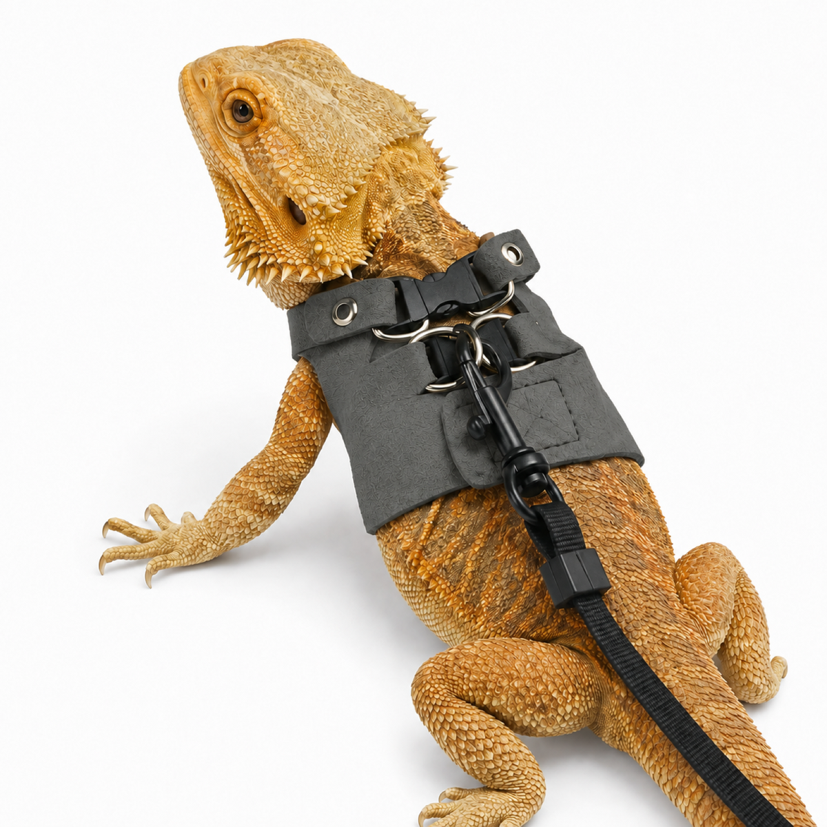 Adjustable Reptile Leash Harness for Lizards