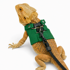 Adjustable Reptile Leash Harness for Lizards