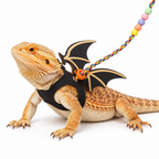 Lizard Wings Leash Set