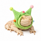Fleece Horn Hat & Scarf for Lizards