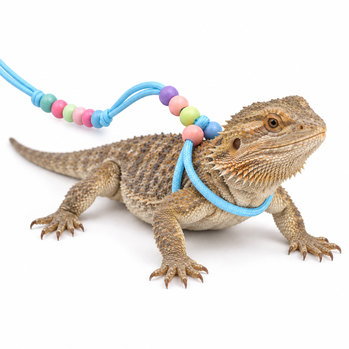 Luminous Cord Leash for Small Reptiles