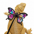 Lizard Leash With Butterfly Wings
