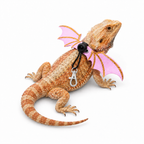 Bat Wing Leash Set for Lizards