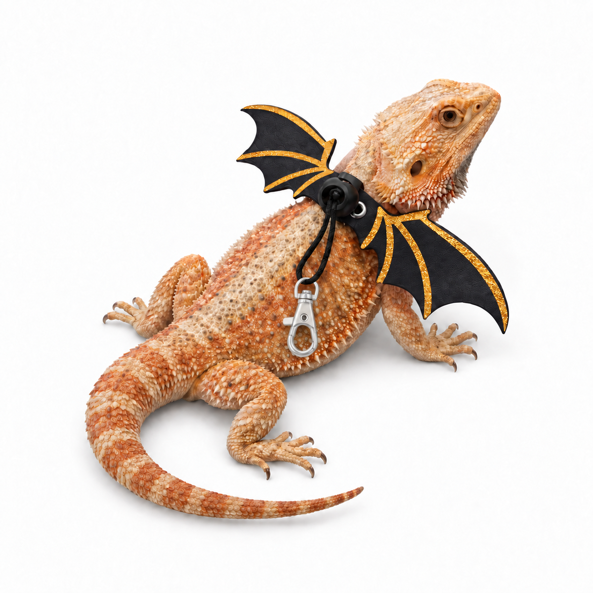 Bat Wing Leash Set for Lizards