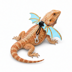 Bat Wing Leash Set for Lizards
