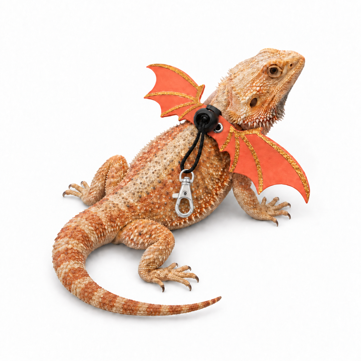 Bat Wing Leash Set for Lizards