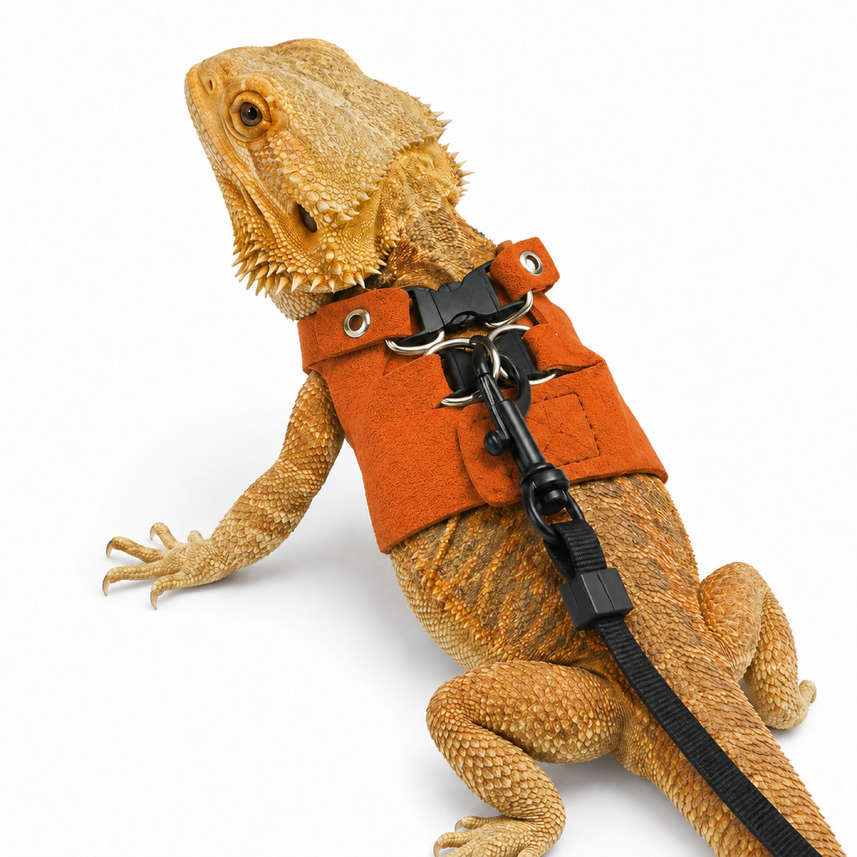 Adjustable Reptile Leash Harness for Lizards