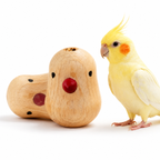 Interactive Push Toy for Birds