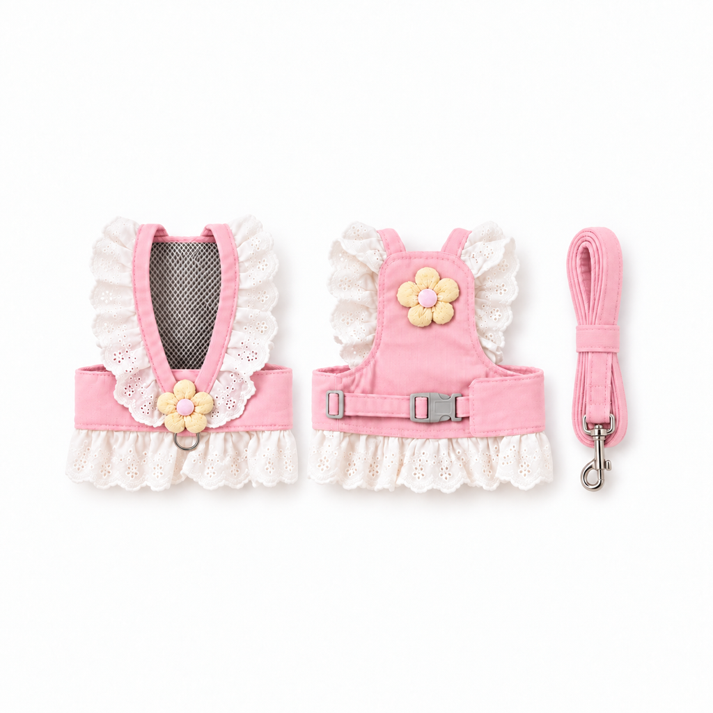 Rabbit Harness and Leash