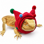 Fleece Horn Hat & Scarf for Lizards