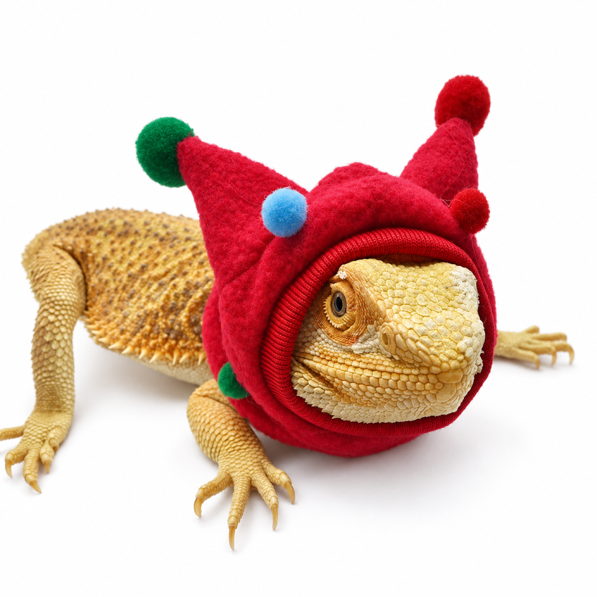 Fleece Horn Hat & Scarf for Lizards