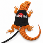 Glow-in-the-Dark Reptile Leash Harness