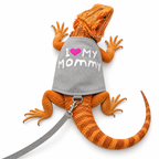 Glow-in-the-Dark Reptile Leash Harness
